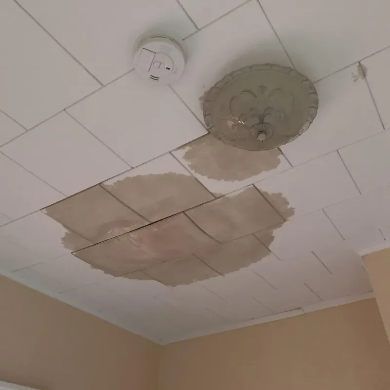 Ceiling Water Damage Repair in Carriere, MS