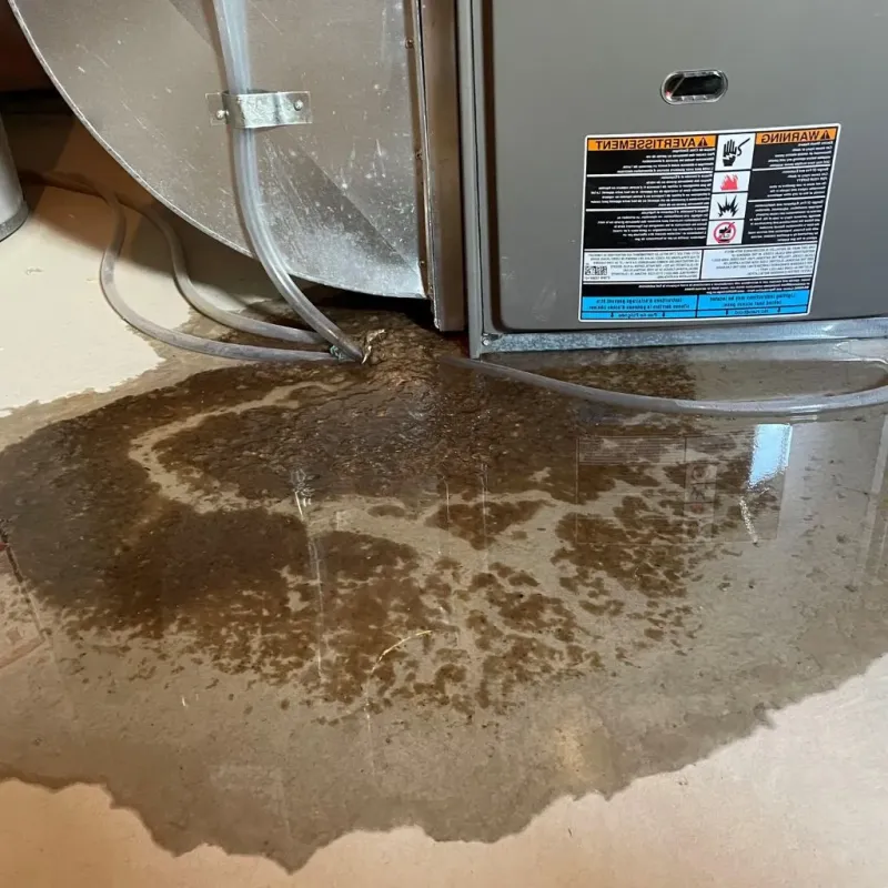 Pipe Burst and Leak Restoration in Carriere, MS
