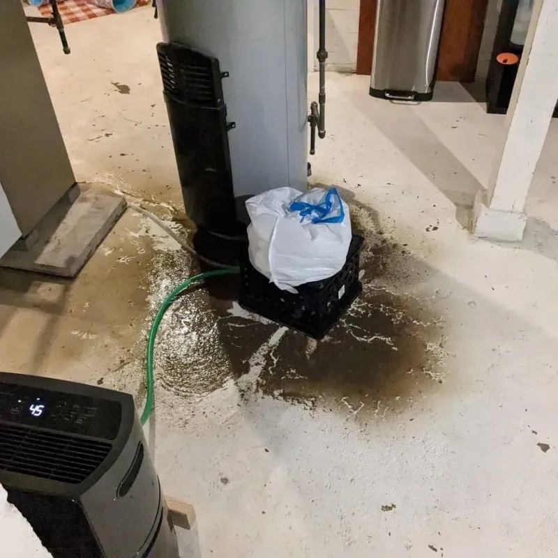 Sewage Backup Cleanup Service in Carriere, MS